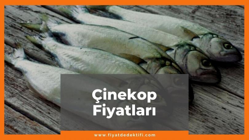 Çinekop Fiyat 2021, Çinekop Fiyatı, Çinekop Balığı Kg Fiyatı, çinekop balığı kg fiyatları ne kadar kaç tl zamlandı mı